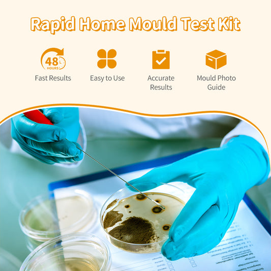 EzyTest Mould Test Kit (1 Test) – 48hr Home Mould Detection for Air & Surfaces + A/C Vent Sampling – Includes Mould Photo Identification Guide